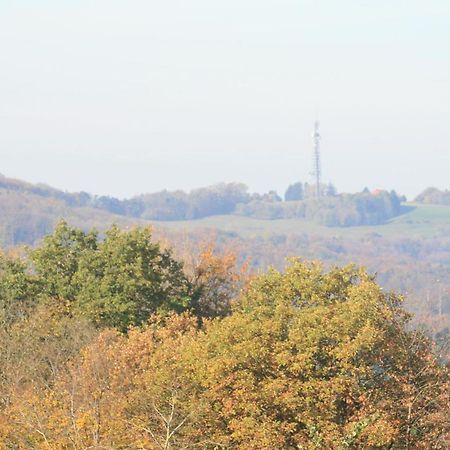 Spiegelberg Fewo Im Naturpark מראה חיצוני תמונה