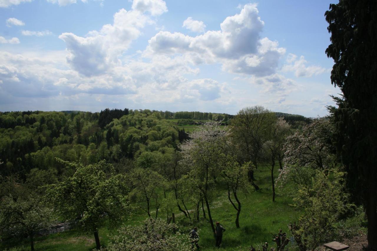 Spiegelberg Fewo Im Naturpark מראה חיצוני תמונה